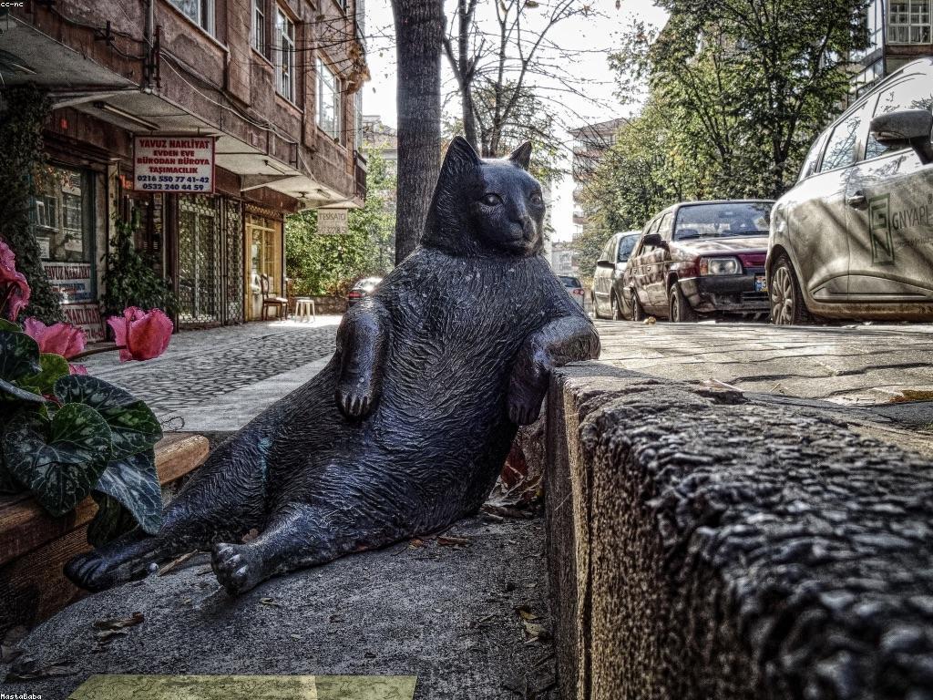 ការយល់ដឹងអំពីអាកប្បកិរិយាកម្សាន្ត