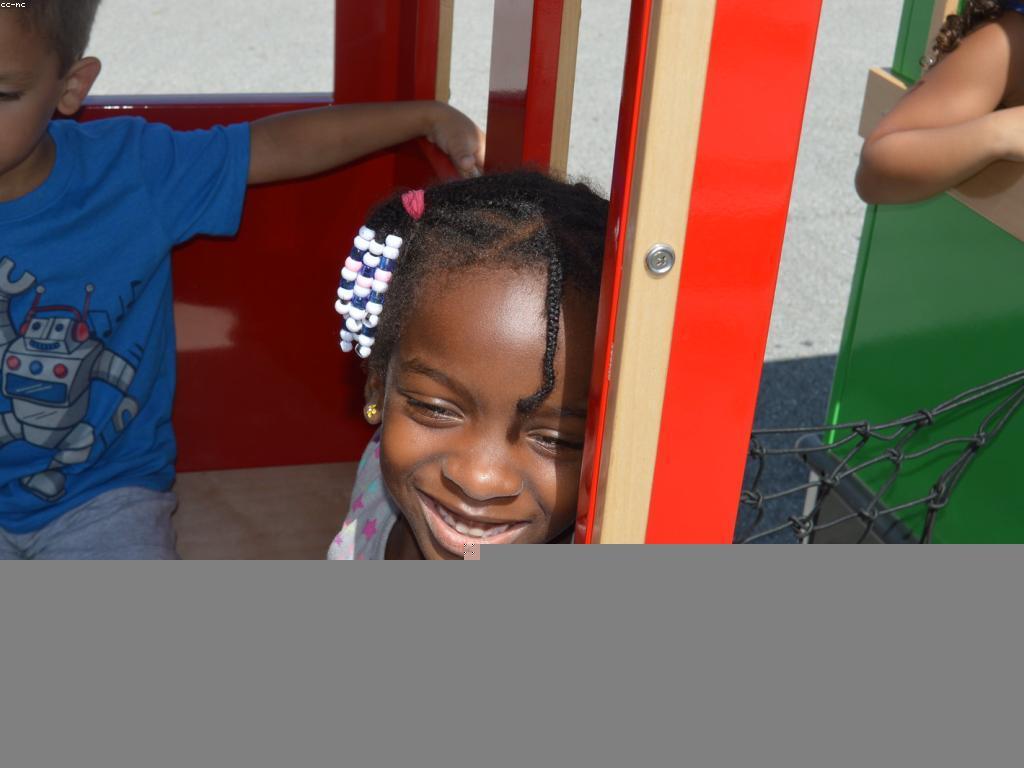 តួនាទីនៃការព្យាករ