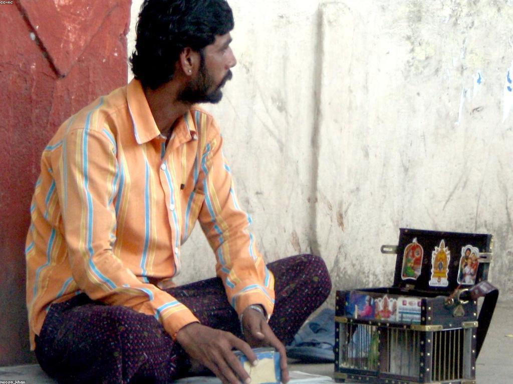 សេចក្តីព្យាករ និងសារៈសំខាន់របស់វាក្នុងជីវិត